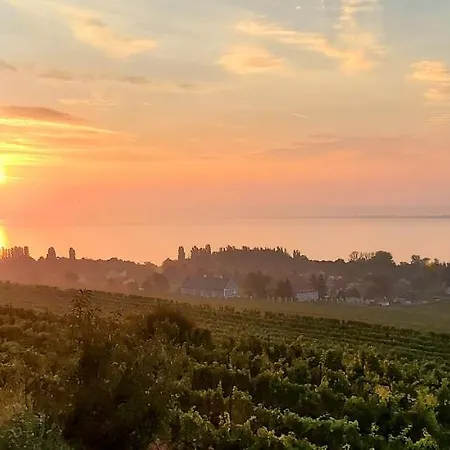 Maison Bagatell Badacsony בית הארחה בדקסוניטומאי