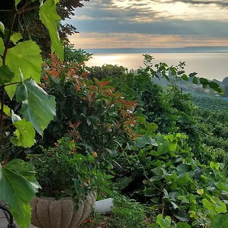 Maison Bagatell Badacsony בית הארחה